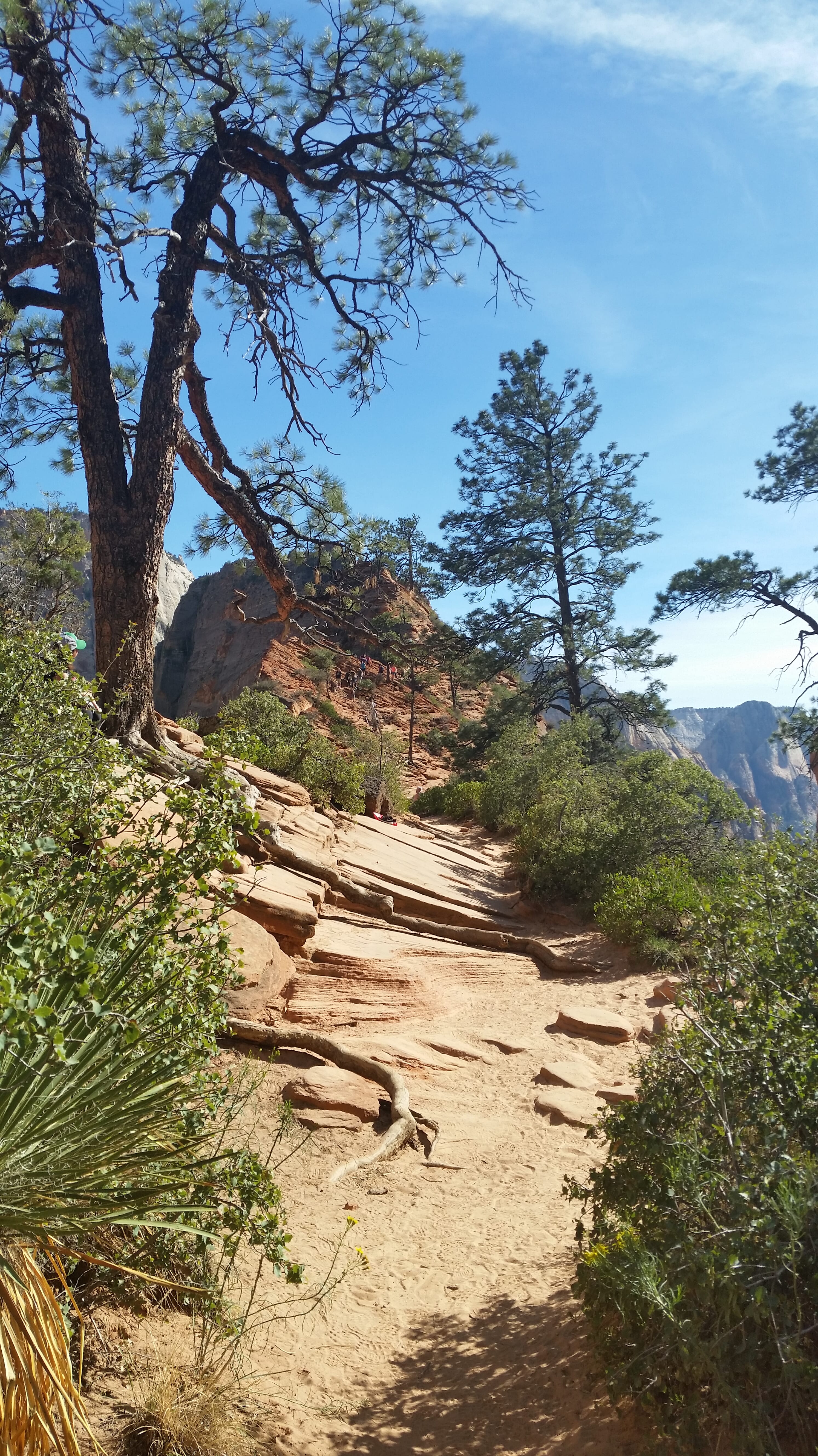 Highline Trail