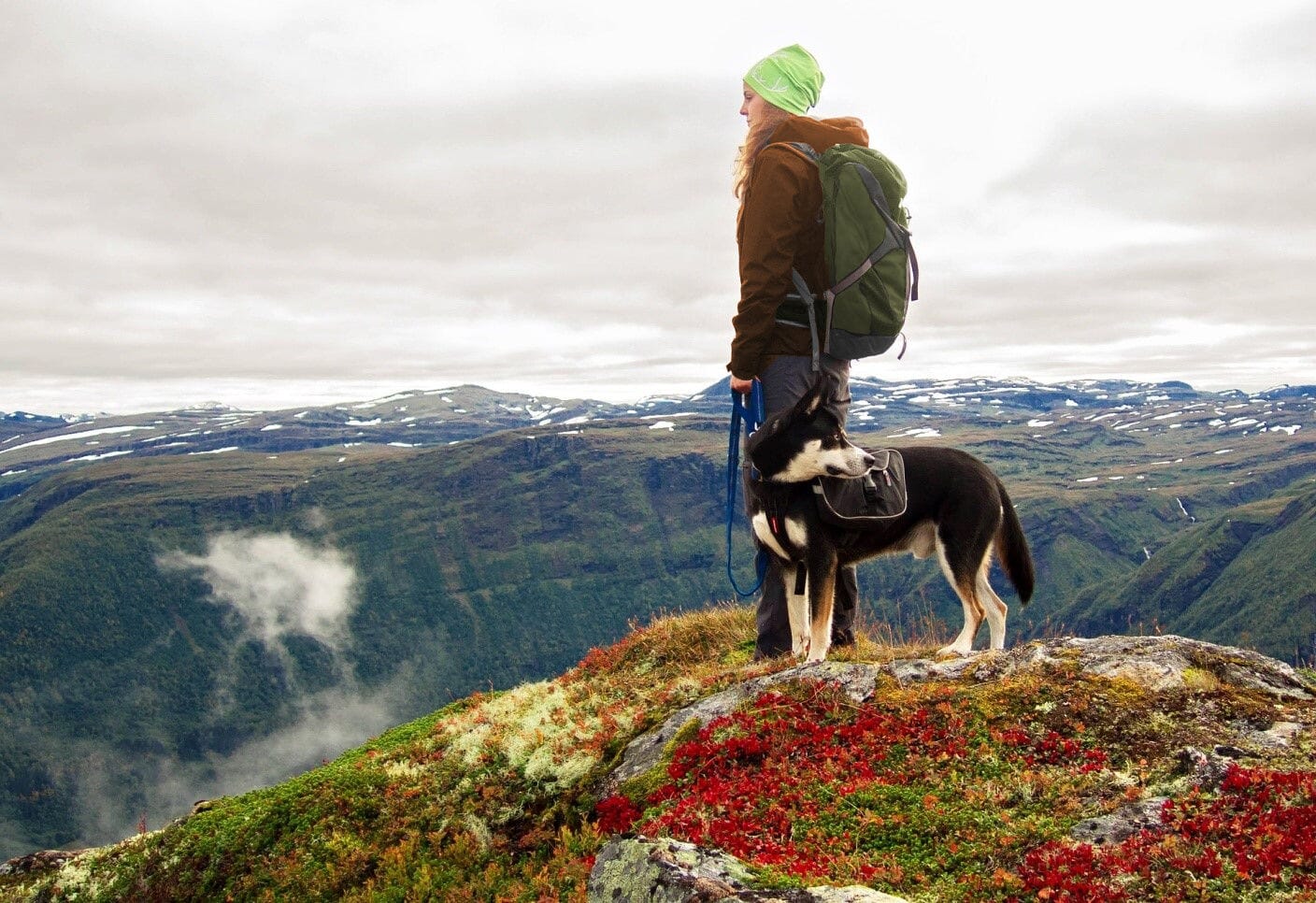 A Guide To Hiking With Your Dog